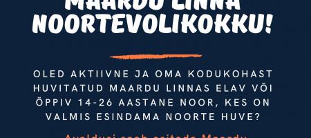 Tule kandideeri maardu linna noortevolikokku!