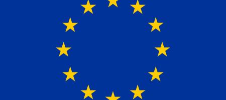 Euroopa Liidu lipp